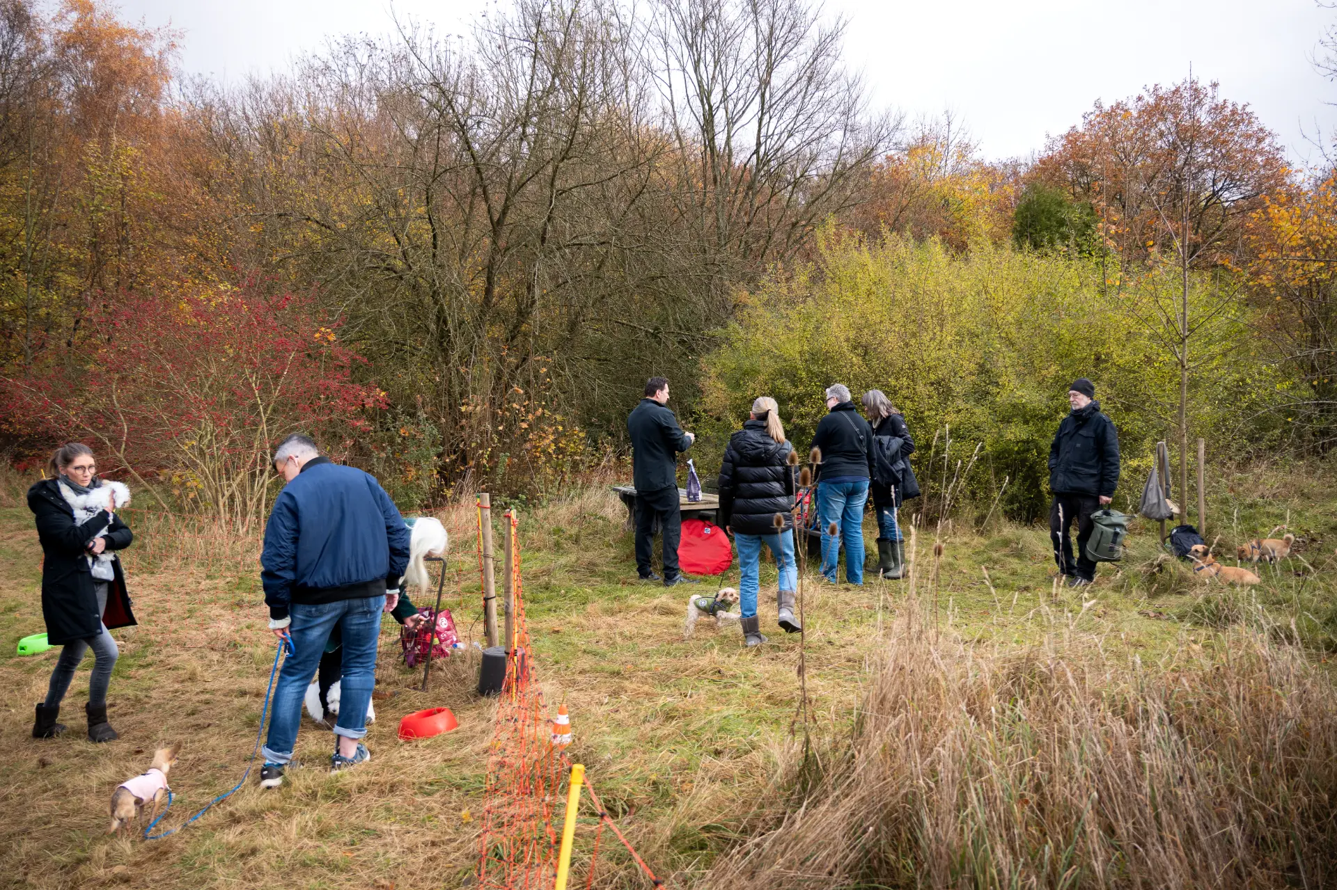 Stefanie Riemer HundeschuleN Dortmund Hundewiese mit Kunden Hintergrundbild 2