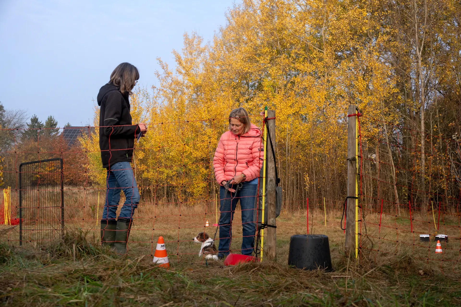 Stefanie Riemer HundeschuleN Dortmund mit Kundin und Hund auf der Hundewiese