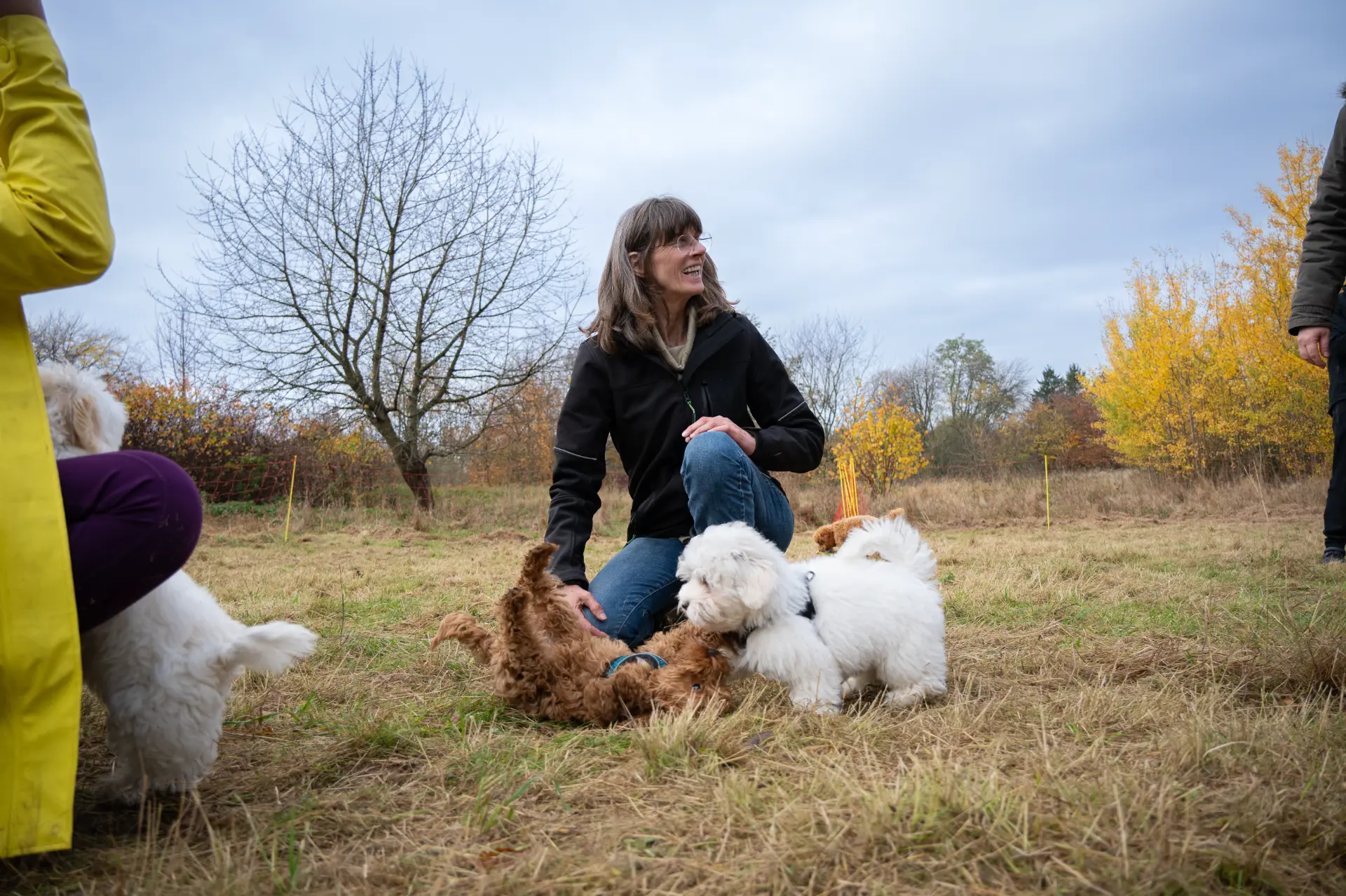 Stefanie Riemer HundeschuleN Dortmund mit Kundinnen und 3 Hunden