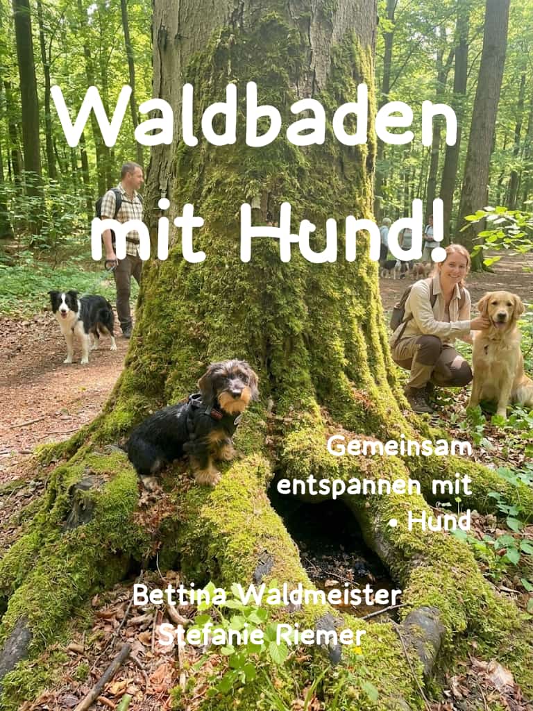 Waldbaden mit Hund